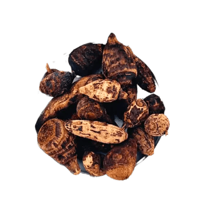 Gowé L’irrésistible - Sent - Oud